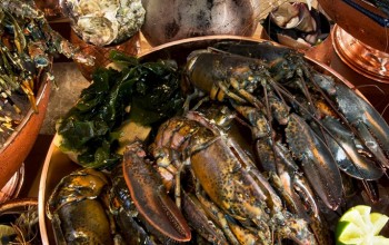 Đại tiệc trưa muộn